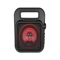 Coluna PA Portátil Bluetooth Karaoke com LED